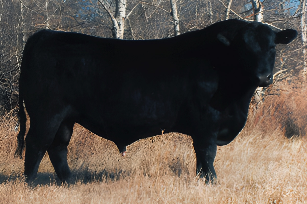 sire5